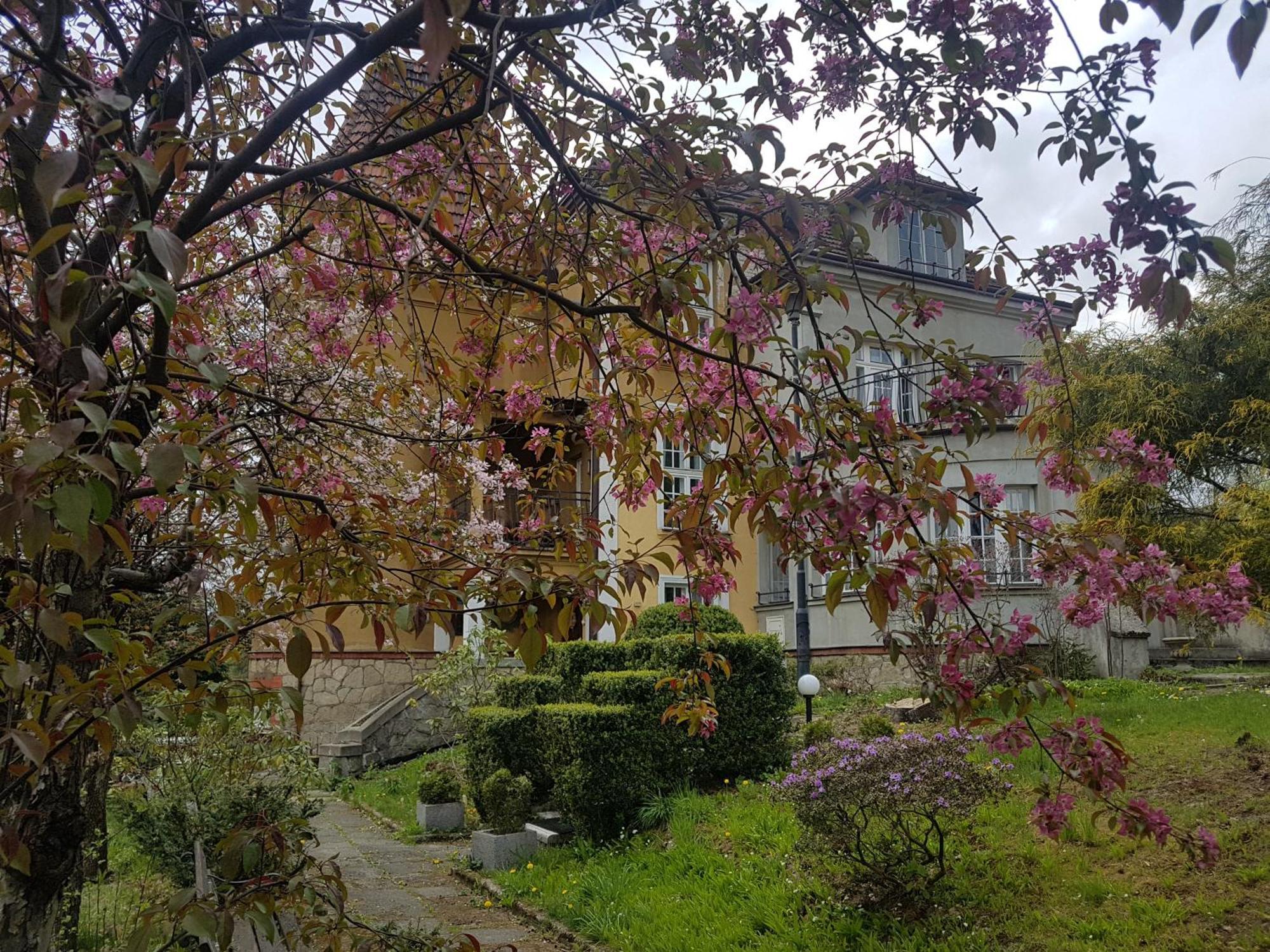 Willa Marysin Makow Podhalanski Exterior foto