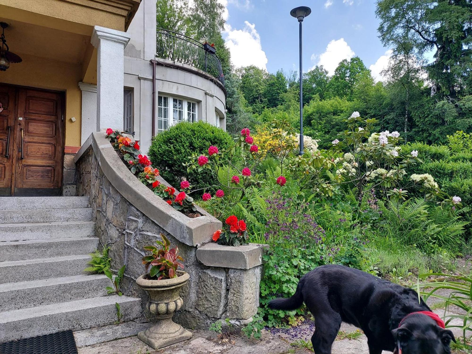 Willa Marysin Makow Podhalanski Exterior foto